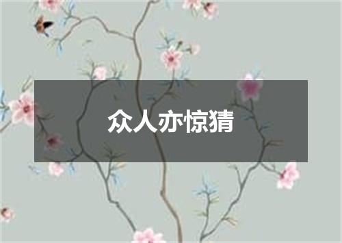 众人亦惊猜
