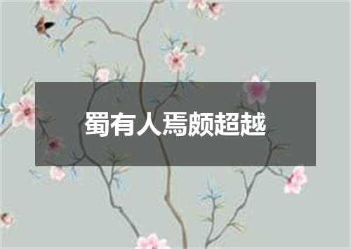 蜀有人焉颇超越