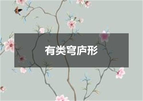有类穹庐形
