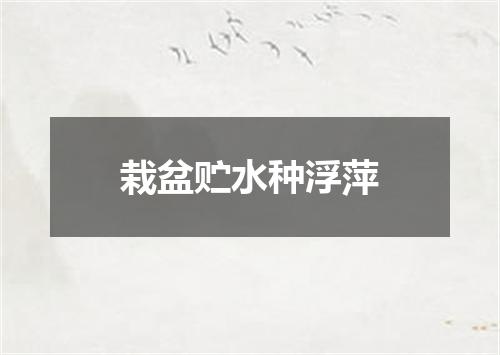 栽盆贮水种浮萍