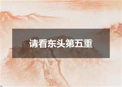 请看东头第五重