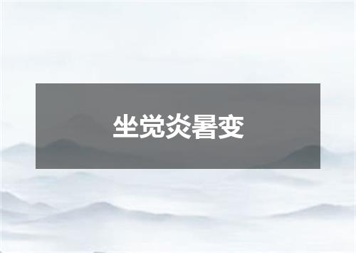坐觉炎暑变