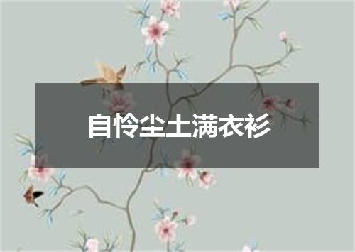 自怜尘土满衣衫