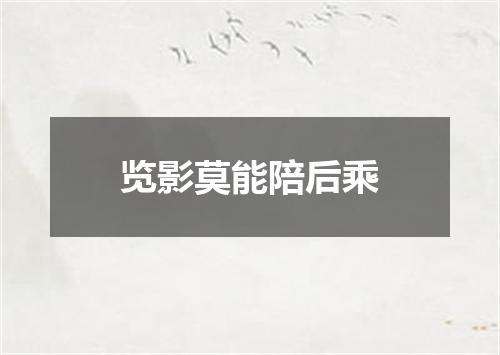 览影莫能陪后乘