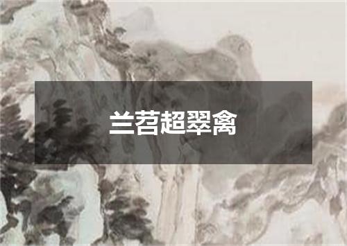 兰苕超翠禽