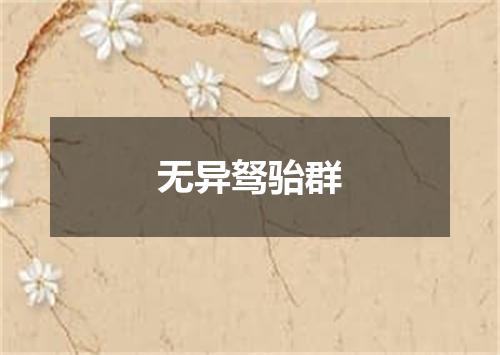 无异驽骀群