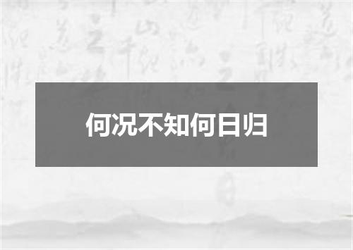 何况不知何日归
