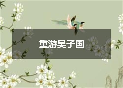 重游吴子国