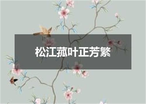 松江菰叶正芳繁