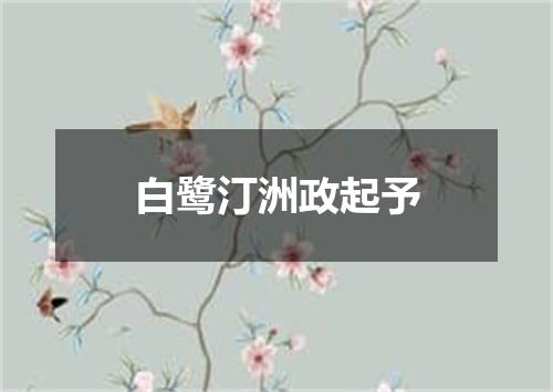 白鹭汀洲政起予