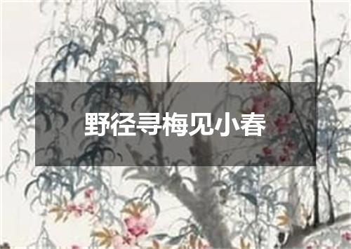 野径寻梅见小春