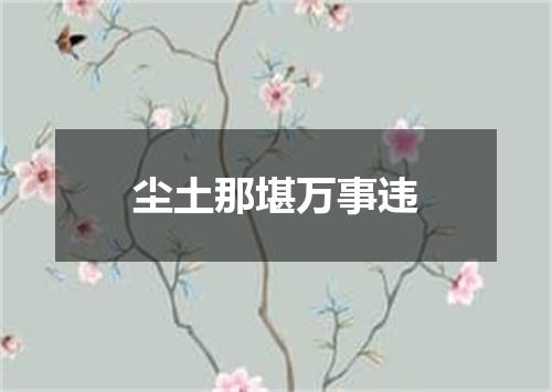 尘土那堪万事违