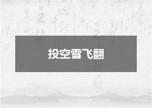 投空雪飞翻