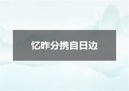 忆昨分携自日边
