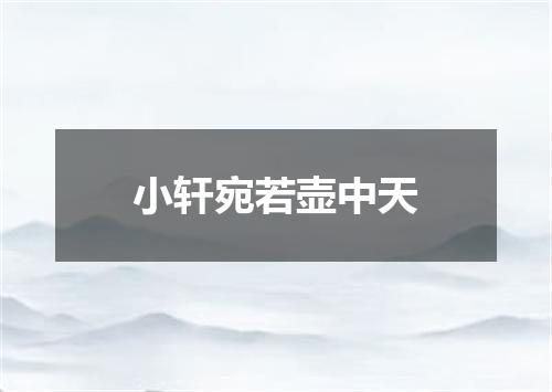小轩宛若壶中天