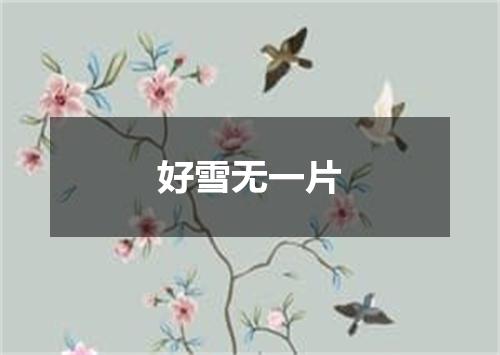 好雪无一片