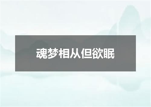 魂梦相从但欲眠