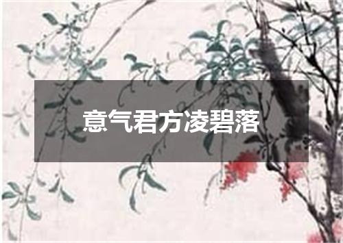 意气君方凌碧落