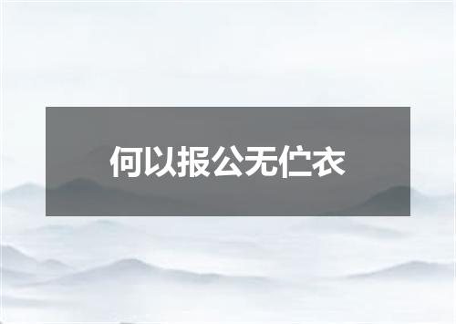 何以报公无伫衣