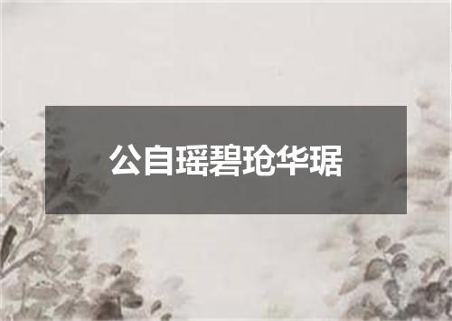 公自瑶碧玱华琚