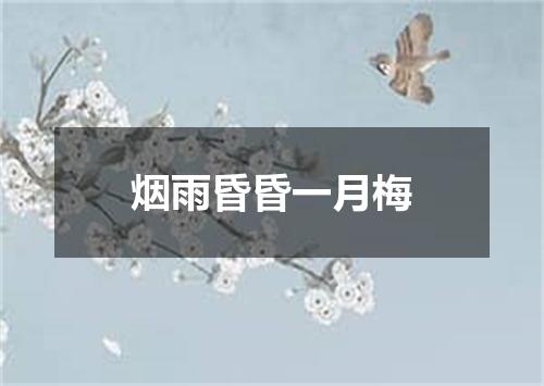 烟雨昏昏一月梅