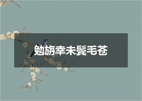 勉旃幸未鬓毛苍