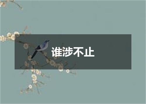 谁涉不止
