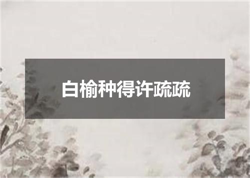 白榆种得许疏疏
