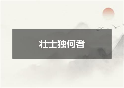 壮士独何者