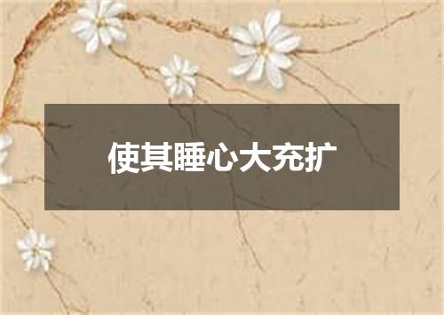 使其睡心大充扩
