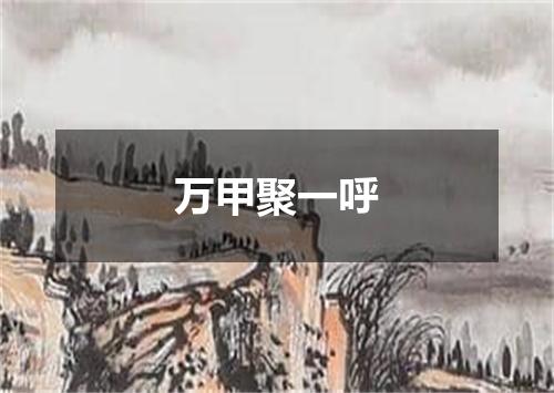 万甲聚一呼