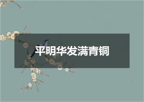 平明华发满青铜