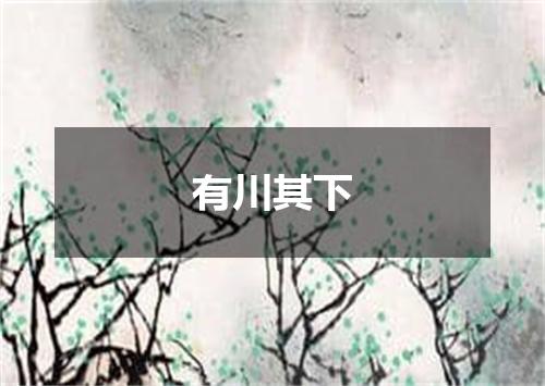 有川其下