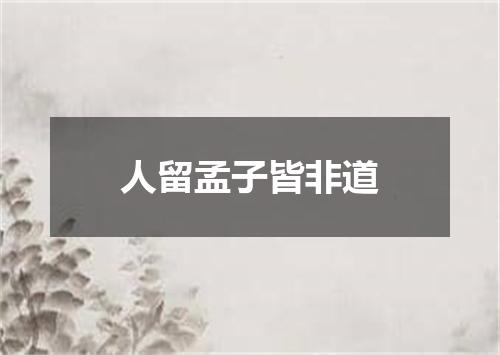 人留孟子皆非道
