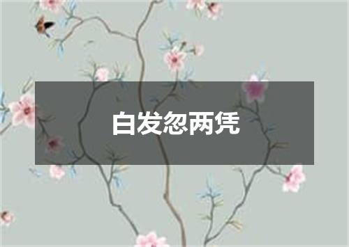 白发忽两凭