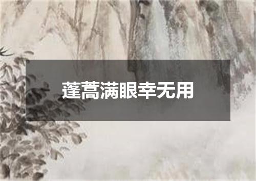 蓬蒿满眼幸无用