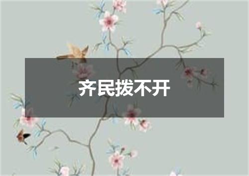 齐民拨不开