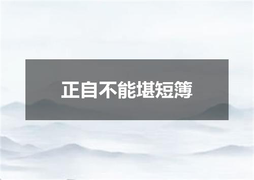 正自不能堪短簿
