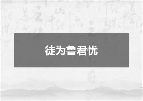 徒为鲁君忧
