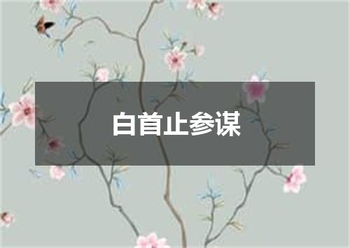 白首止参谋