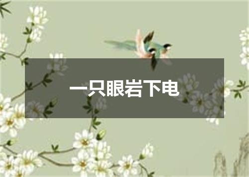一只眼岩下电