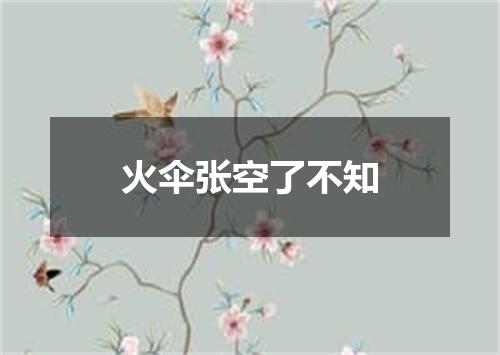 火伞张空了不知