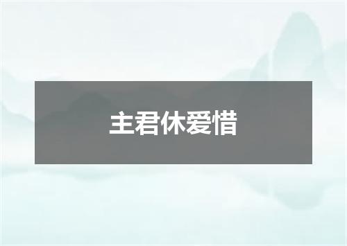 主君休爱惜