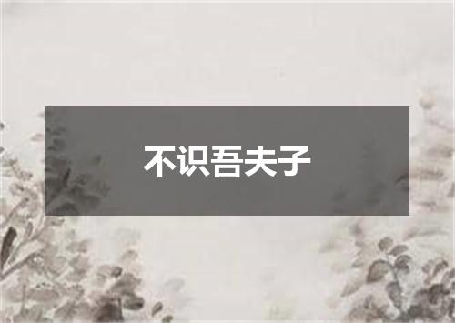 不识吾夫子