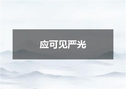 应可见严光