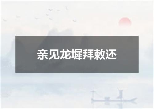 亲见龙墀拜敕还