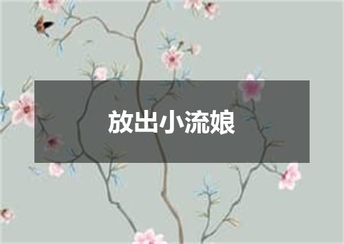 放出小流娘