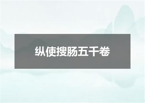 纵使搜肠五千卷