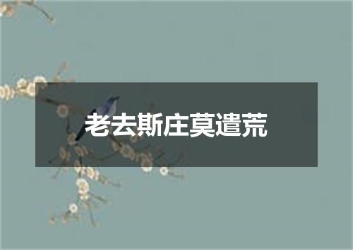 老去斯庄莫遣荒