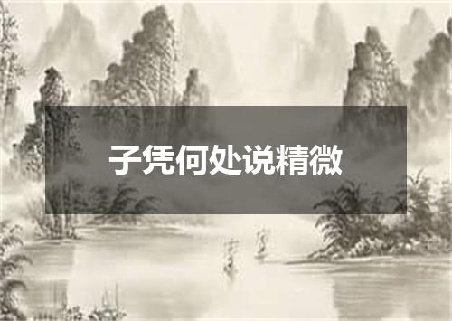 子凭何处说精微